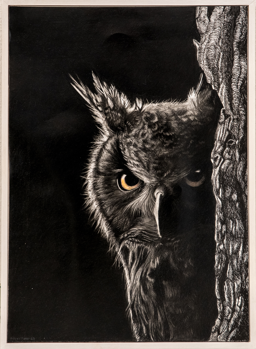 Carboncino e grafite su carta – 37x51 – 2025
