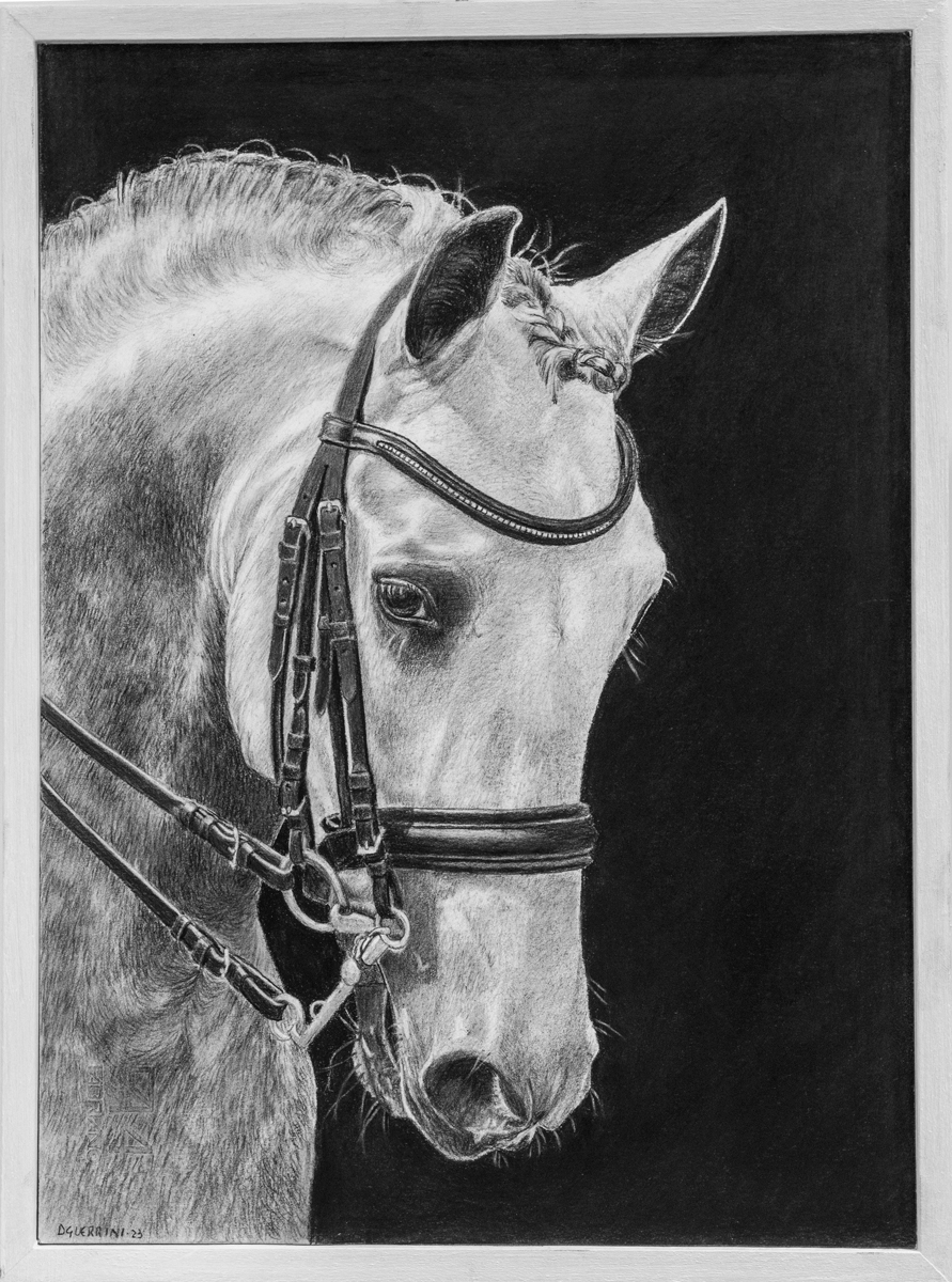 Carboncino e grafite su carta – 26x35 - 2022